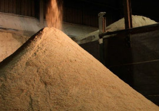 Surplus Food – Keeping an eye on our waste-lines