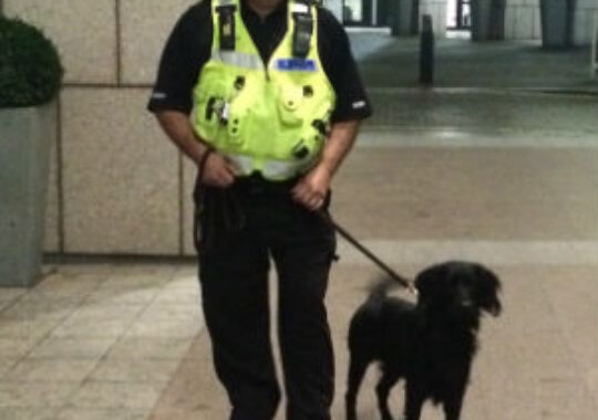 Success for Charter Security as sniffer dog patrols help reduce crime and anti-social behaviour in Tower Hamlets