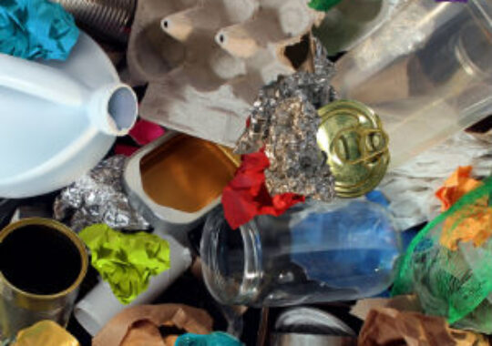 Turning the Spotlight on Food and Furnishings