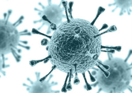 Fogging and the germ war