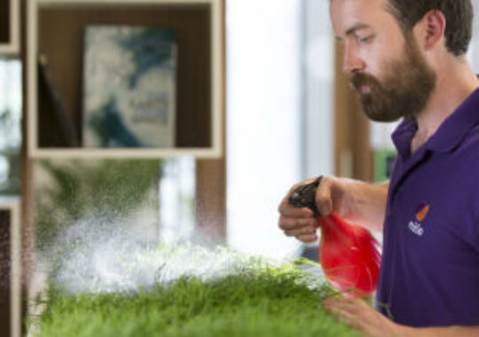 Horticulture for healing