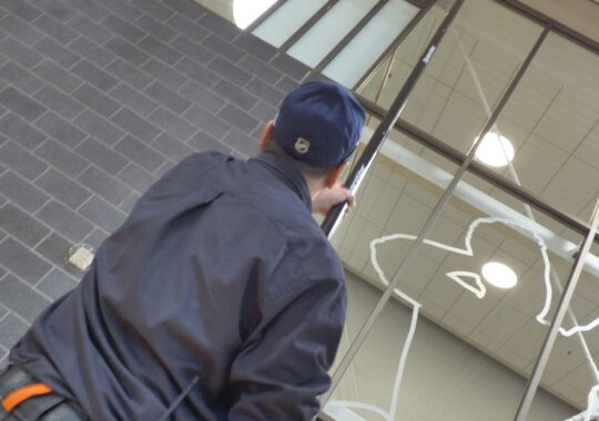 Celebrating 50 years of innovation